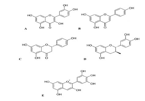 A Quercetinb Apigenin C Naringenin D Catechin Flavan 3 Ol E