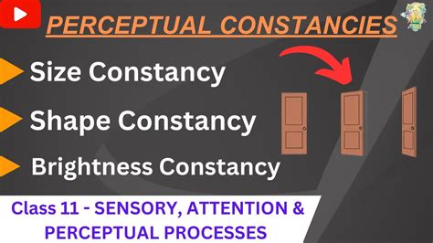 Perceptual Constancy Size Shape And Brightness Constancy Class11