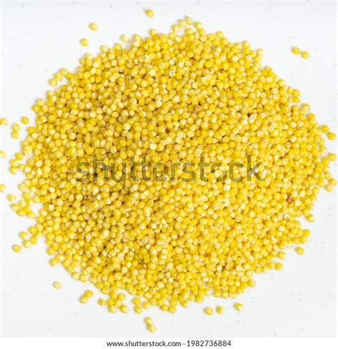 Top View Pile Polished Proso Millet Stock Photo 1982736884 Shutterstock