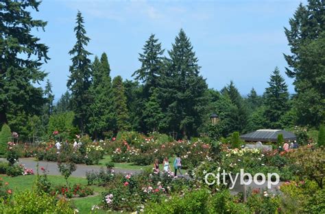 5 BEST Things to Do at Portland Rose Garden - CityBOP