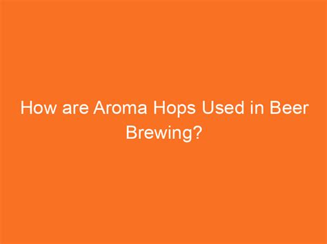 How are Aroma Hops Used in Beer Brewing? - Brew Gem