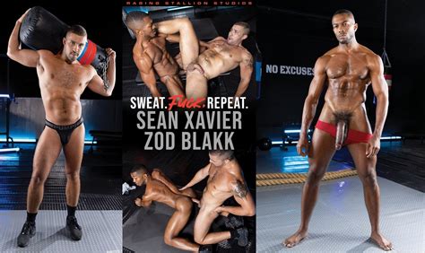 Sweat Fuck Repeat Sean Xavier Zod Blakk Putinho Vídeos Gays