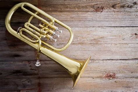 12 Popular Types Of Tubas Explained Verbnow