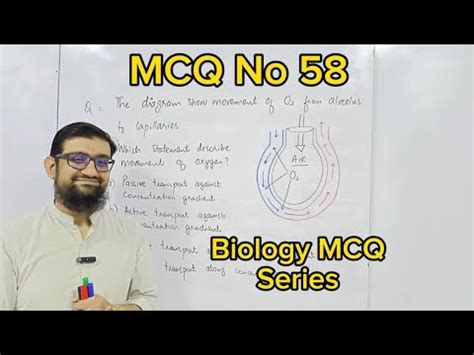 MCQ Series Question 58 Let S Crack MDCAT YouTube