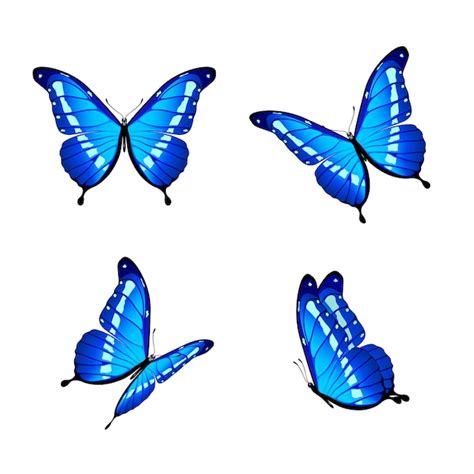 Mariposas Azules Vector Premium