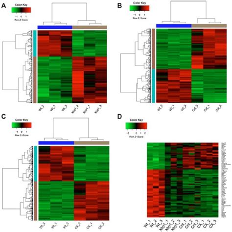 Heatmaps A Heatmaps Of Differentially Expressed Genes Degs