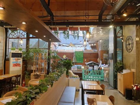 10 insanely cool cafés in South Korea escape au