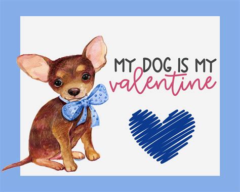 My Dog Is My Valentine Free Stock Photo Public Domain Pictures