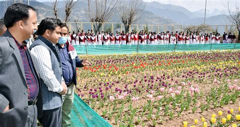 Ddc Inaugurates Mega Cultural Event At Tulip Garden Kud Daily Excelsior