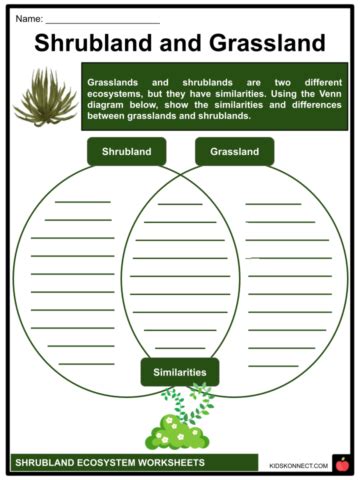 Grassland Ecosystem Worksheets | Climate, Animal Diversity