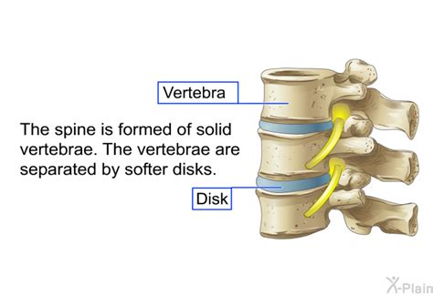 PatEdu.com : Tailbone Fracture