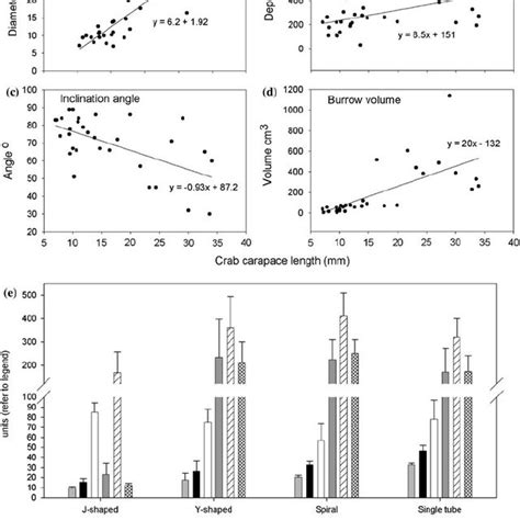 Relationship Between Crab Carapace Length And A Burrow Opening