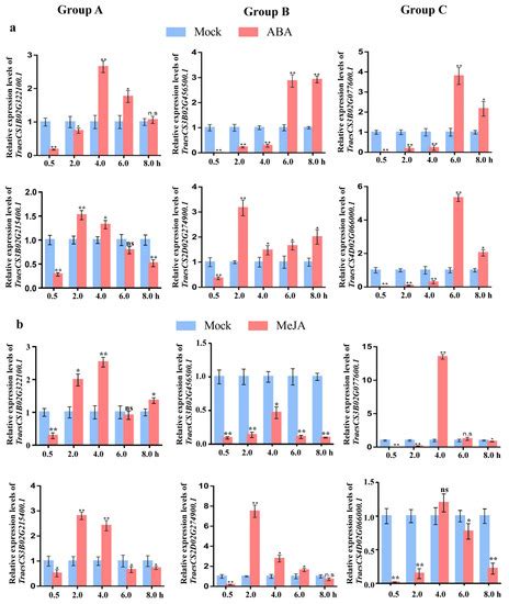 IJMS Free Full Text Genome Wide Identification And Characterization