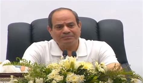 Sisi Stresses Egypt S Steadfast Stance On GERD Protecting Water