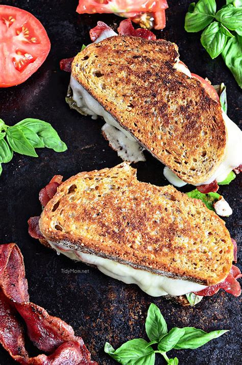 25+ Grilled Cheese Recipes | NoBiggie