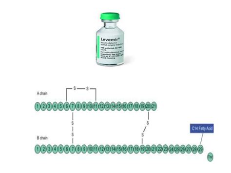 Insulin Its Preparations Ppt