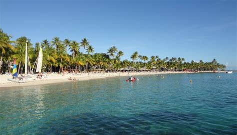 Caribbean beach scenery stock image. Image of tree, tourism - 33956653