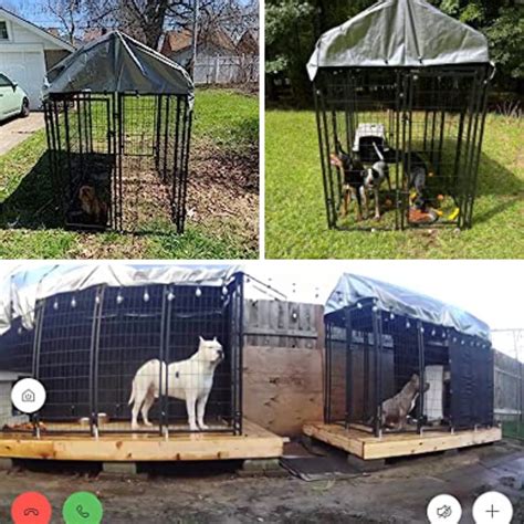 4 Outdoor Dog Kennels Tested: Which One Will Provide Your Pooch With Secure Space?