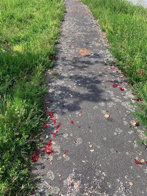 Feuerwerke In Koblenz Verschmutzen Umwelt Dreck Weg E V