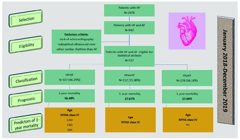 The Protocol Of The Study Legend Hf Heart Failure Af Atrial