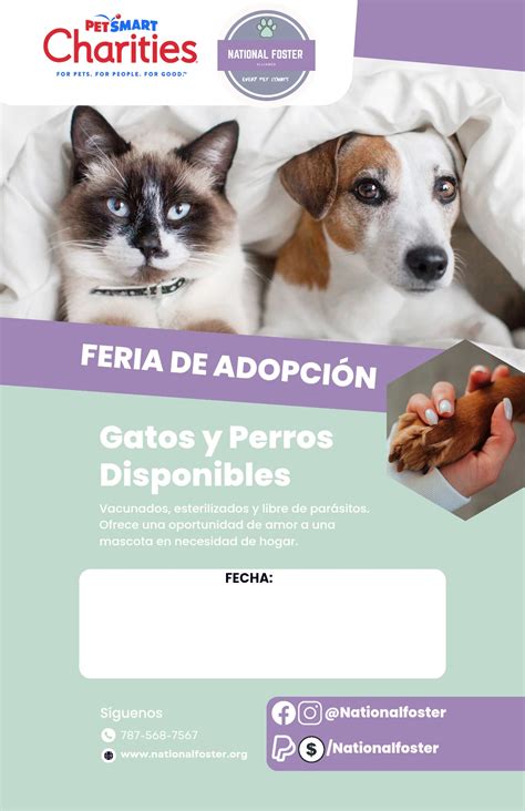 animal of puerto rico 14
