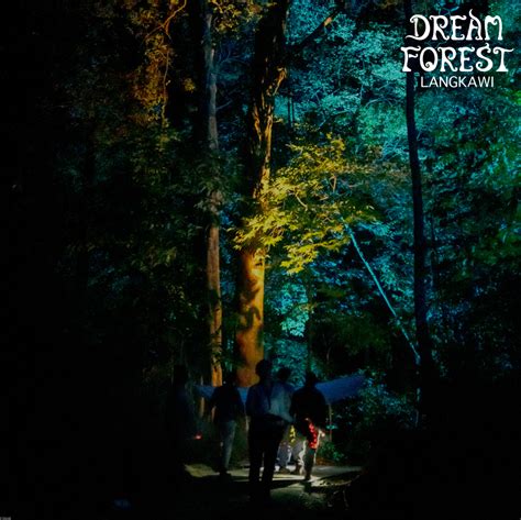 Dream Forest Langkawi Is A New Attraction Set In A Forest With