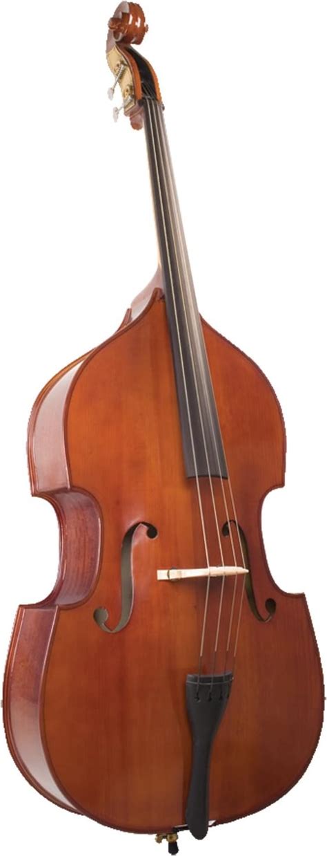 Palatino 4 String Acoustic Upright Bass Right Vb 029 3 4 Uk Musical Instruments