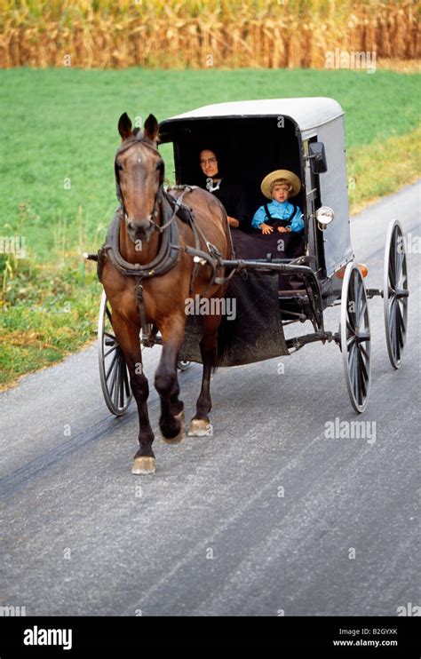 The Amish, or Plain People, in Pennsylvania's Lancaster County, still ...