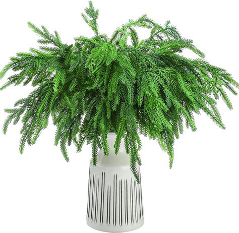 Amazon Jutom Pcs Christmas Norfolk Pine Branches Norfolk Pine