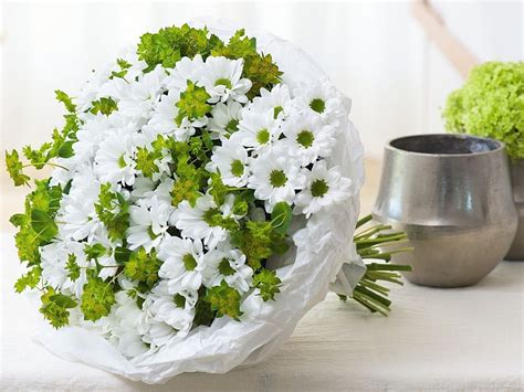 Chrysanthemum Chic — The Perfect White Mum For Easter