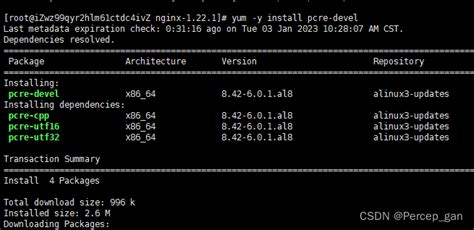 Linux中安装nginx，很详细 Linux安装nginx Csdn博客