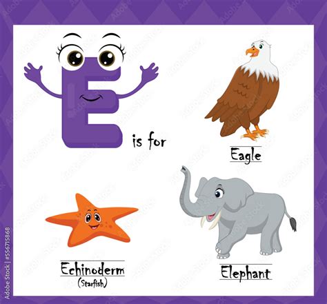 Letter e vector, alphabet e for eagle, echinoderms (starfish), elephant ...