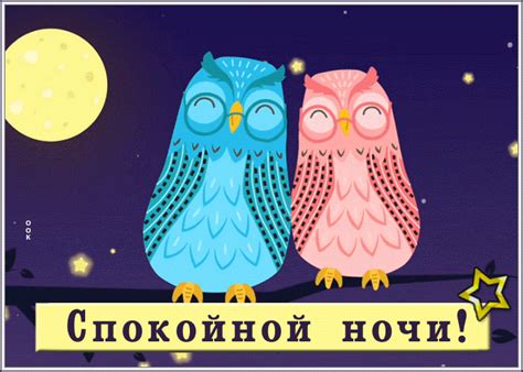 milaya kartinka spokoynoy nochi  sovami na vetke otkrytki onlayn