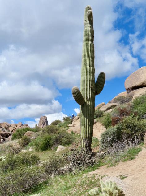 Zenfolio Southern Arizona Hiking Club East End Fountain