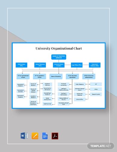 School Organizational Chart 26 Examples Format Pdf