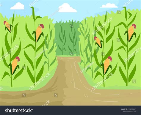 22 Corn Maze Clipart Royalty-Free Photos and Stock Images | Shutterstock