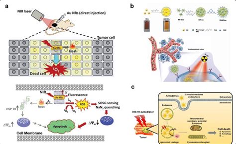 Photothermal Therapy Photonic Biosensing Lab