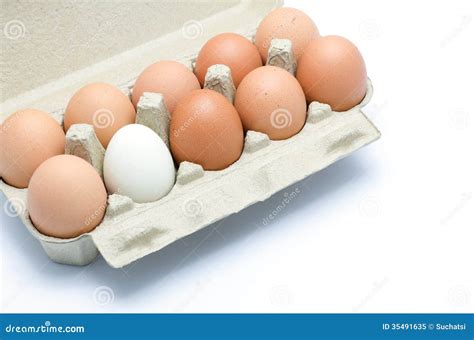 Eggs In A Carton Package Stock Image Image Of Cooking 35491635