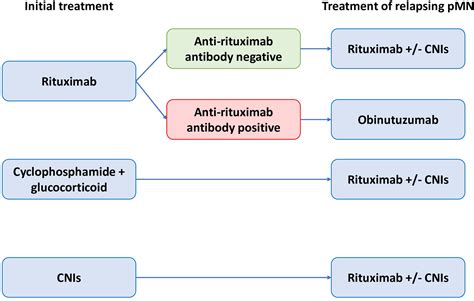 Frontiers Advances In The Management Of Primary Membranous