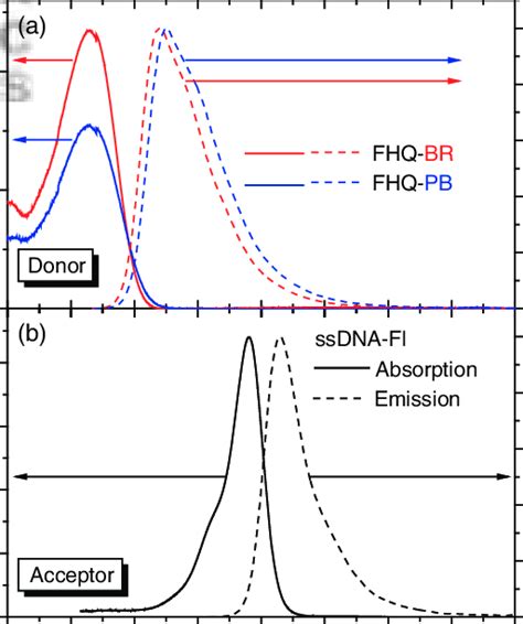 Molar Absorption Coefficient And Normalized Fluorescence Spectra Of