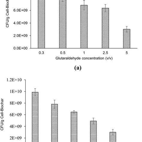 Cell Immobilized Biochar Using Covalent Binding Method A Effect Of