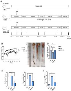 Saccharomyces Cerevisiae SC 2201 Attenuates AOM DSS Induced Colorectal