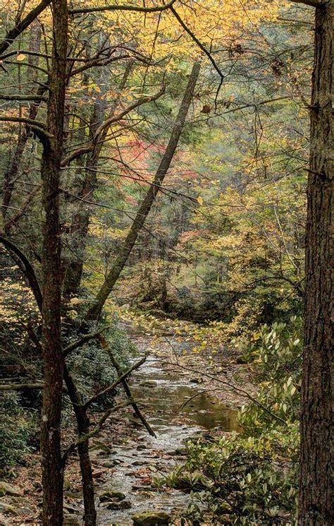 Clarks Creek Photograph By Heavens View Photography Fine Art America