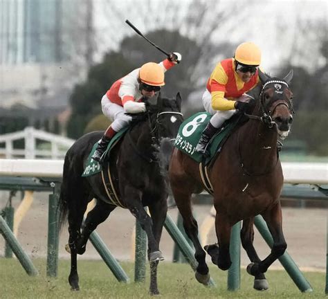 ＜東京11r・共同通信杯＞デビュー2連勝で重賞初制覇のジャスティンミラノ（右）＝撮影・郡司 修 ― スポニチ Sponichi Annex ギャンブル