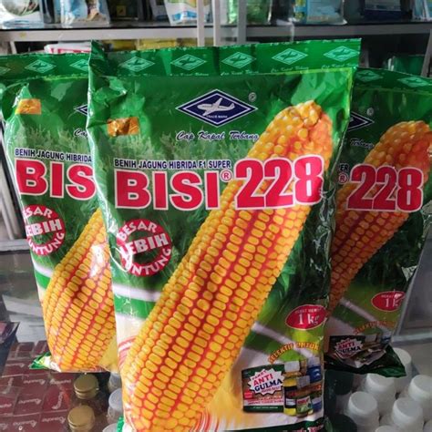 Jual Benih Jagung Hibrida F1 Super Bisi 228 1 Kg Dari Bisi