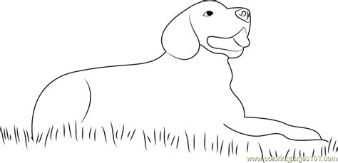 Dog Sitting In Grass Coloring Page For Kids Free Dog Printable