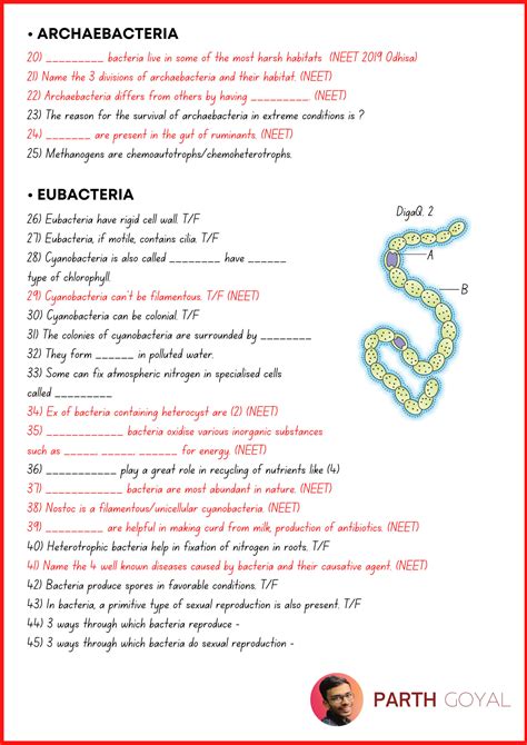 Solution Biological Classification Biohack Tricks And Mnemonics For