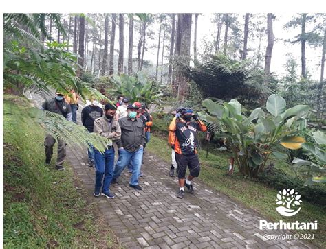 Perhutani Perhutani Terima Kunjungan Kepala Dinas Kehutanan Provinsi