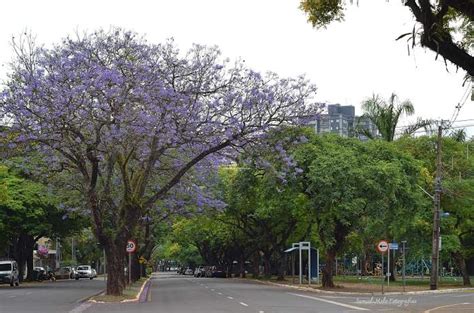 Tempo Nessa Quinta Feira Hojemais De Maring Pr