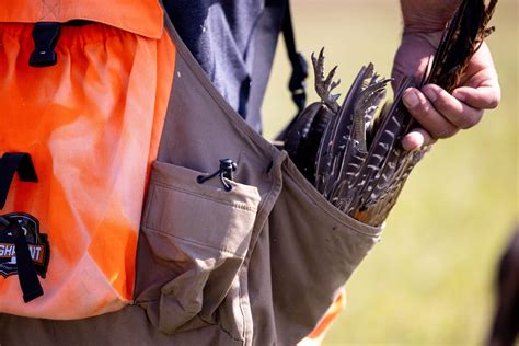 Your Guide to Pheasant Season — Sportsman's Pride